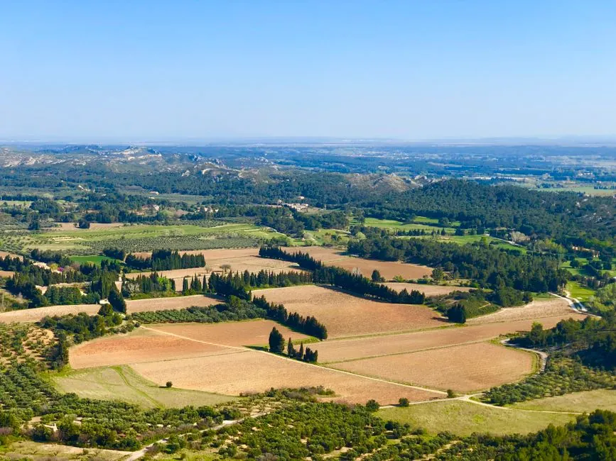 Jardin de pierre et oliviers en Provence