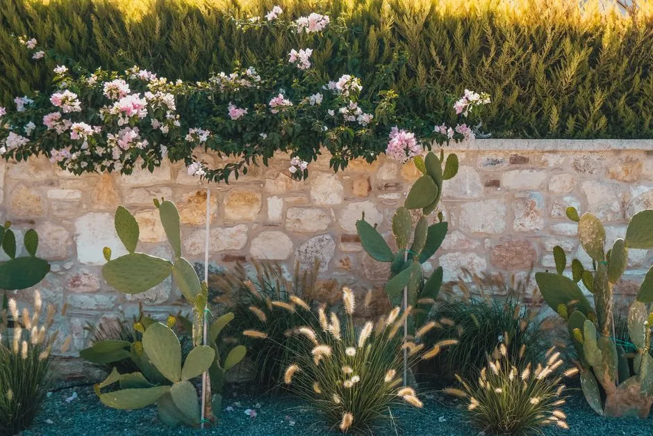 Jardin mediterraneen entretenu a Avignon